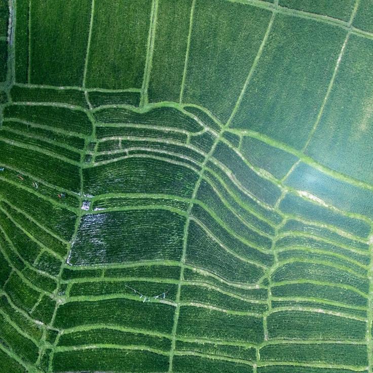 Entertainment zone at night in Switzerland